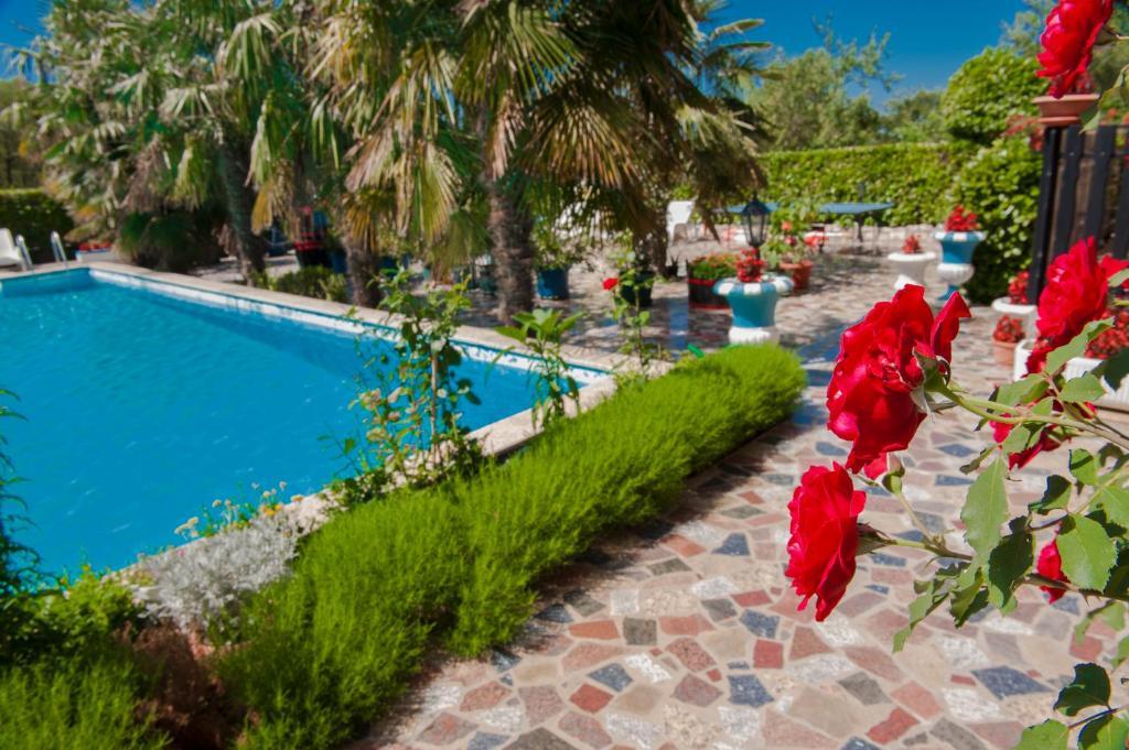 Appartement Paradis